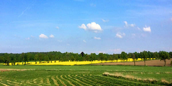 Landschaft600x300